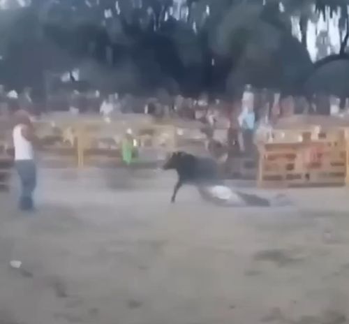 Крепкий дядя попался, базару нет⁠⁠