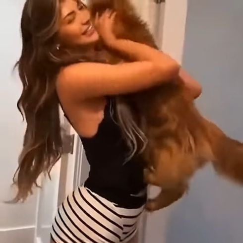 Большой кот⁠⁠