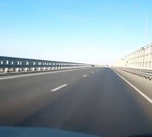 В Волгограде какой-то псих дубасил по трассе 120 км/ч на моноколесе