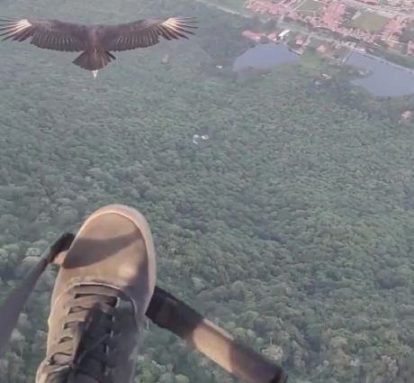 Полет с ястребом