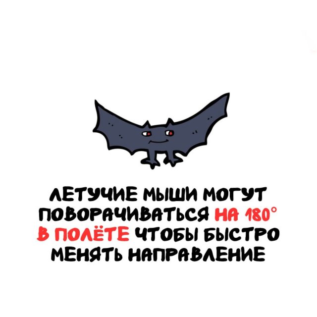 Интересные факты на все случаи жизни (15 фото)