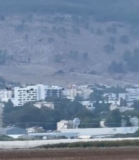 Изя с журавлями