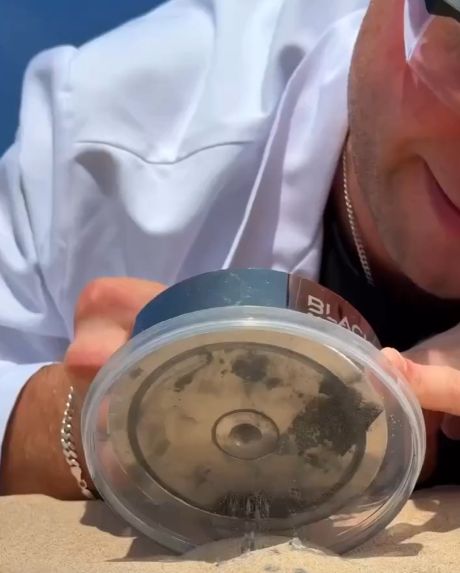 Ферромагнитная жидкость