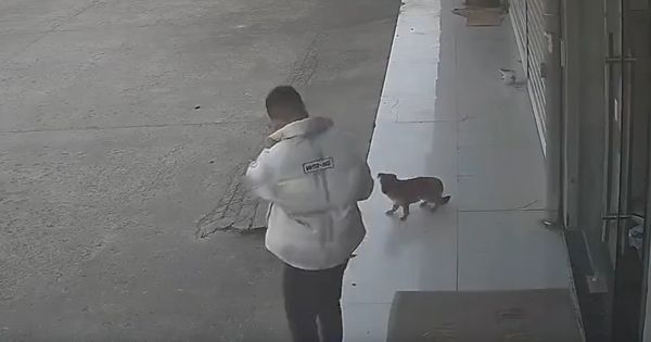 Как говорит наш дорогой шеф, если человек идиот, то это надолго!