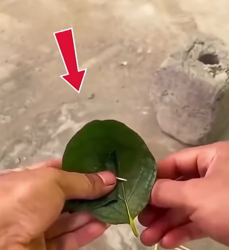 Гениально)⁠⁠