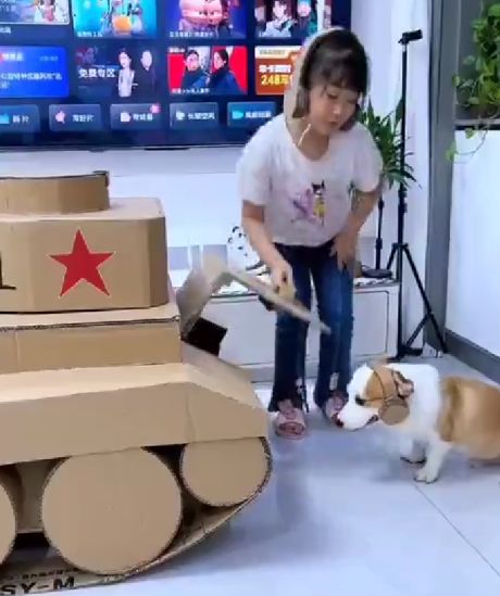 Танковое сражение в Китае