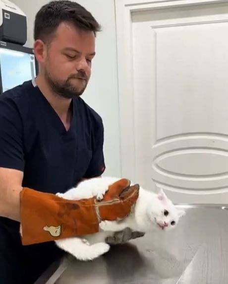 Особо опасный клиент