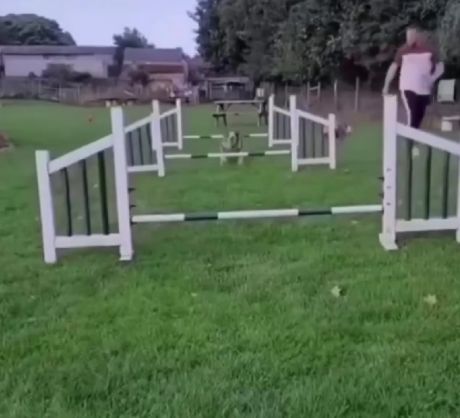 Он точно победил!