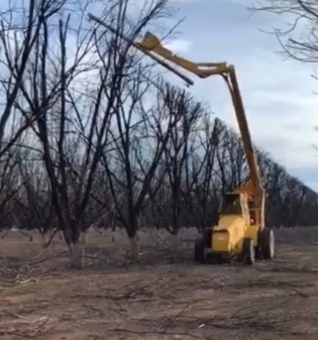 Как под линейку