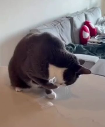 Маленький шуршащий пакетик