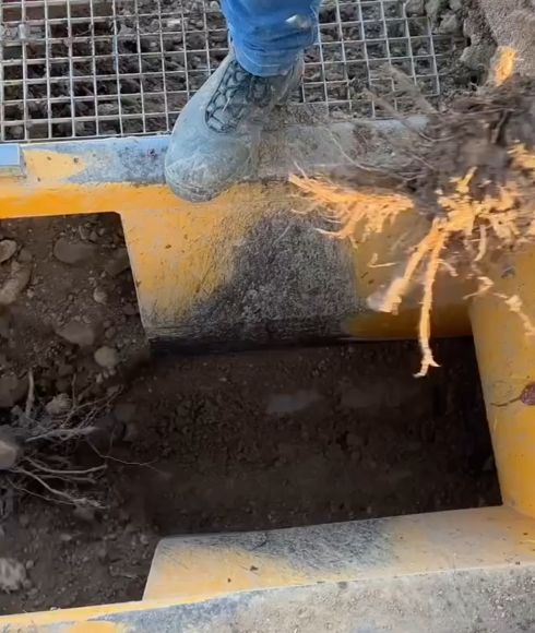 Автоматизация при посадке саженцев⁠⁠