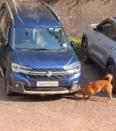 Зима в Воркуте