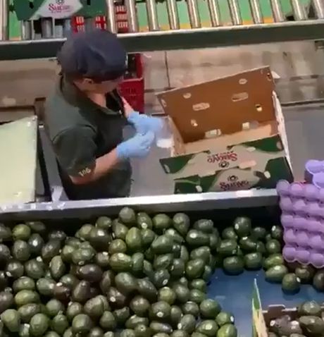 Фасовщик авокадо уровня «Бог»