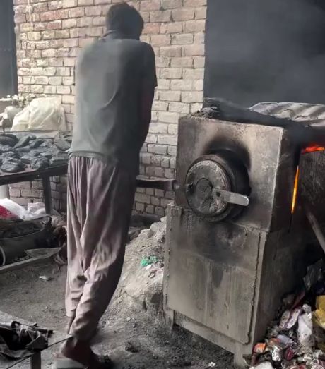 Вот кто бы мог почистить мировой океан от мусора