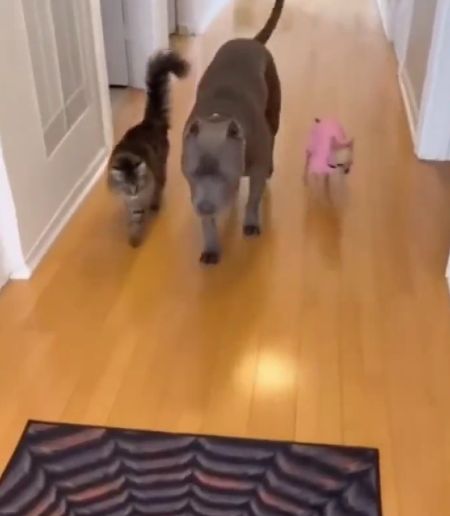 Прежде чем действовать, нужно проверить