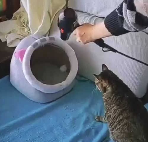 Разбалованный⁠⁠