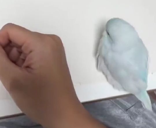 Всем обнимашки!