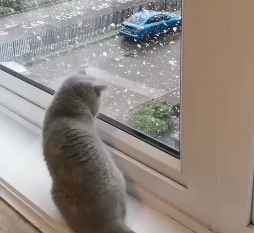 А у кого-то началась его первая зима