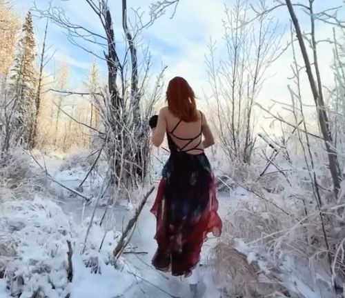 Замёрзшее болото на Аляске⁠⁠