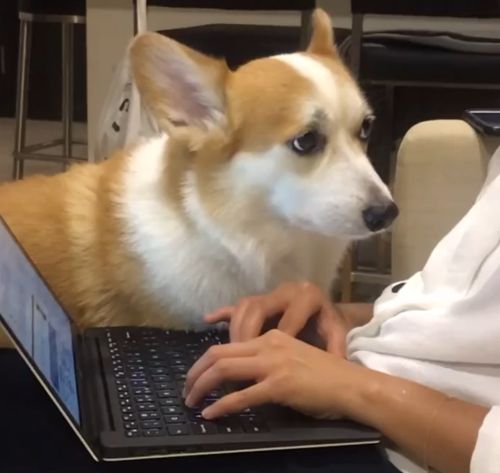 Сегодня не работаешь⁠⁠