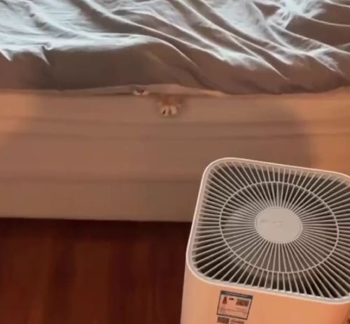 Ухадите, я отсюдова никуда не выйду!