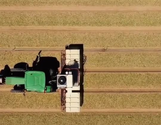 Система лазерной прополки избавляет от сорняков без химикатов