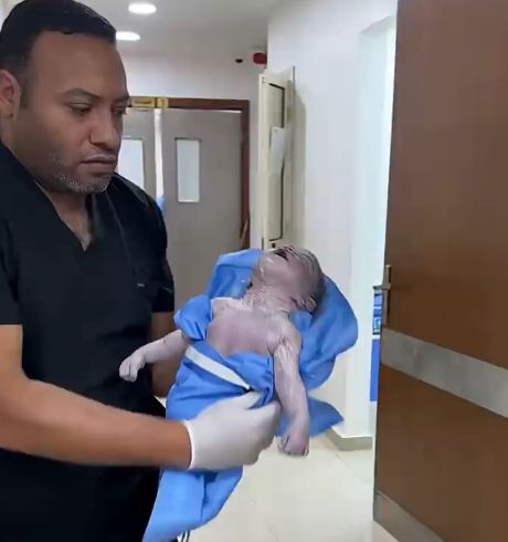 Завёл моторчик