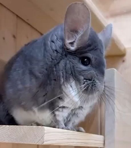 Без рук, пожалуйста!⁠⁠