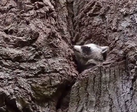 Только захочешь отдохнуть от детей...⁠⁠