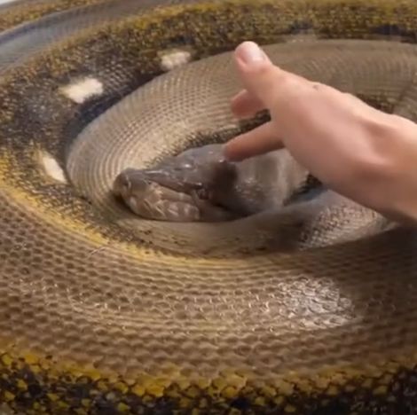 Обиделась⁠⁠