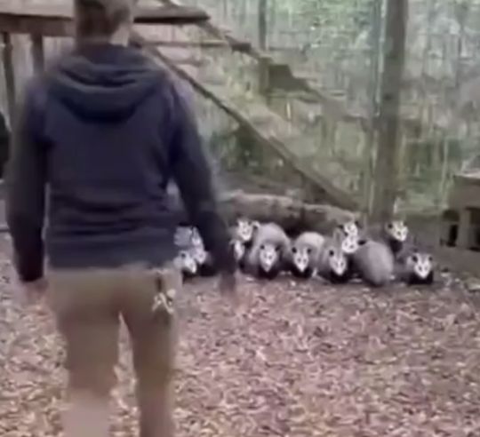 Напугала до смерти