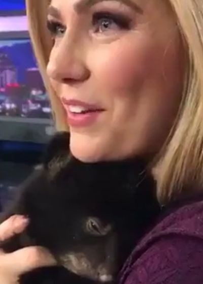 Медвежонок урчит