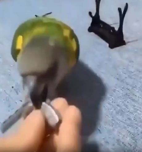 Безупречная актерская игра⁠⁠