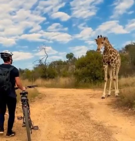 Познакомились
