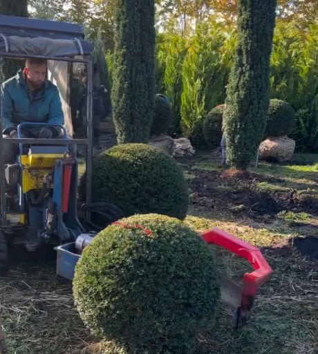 Рассада подросла⁠⁠