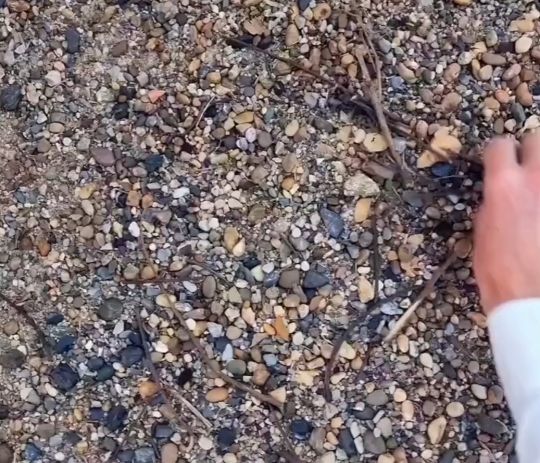 Рисунок камнями⁠⁠