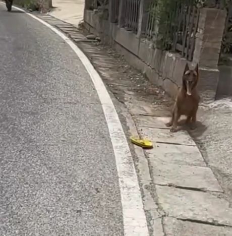 Ты шутки со мной шутить вздумал?