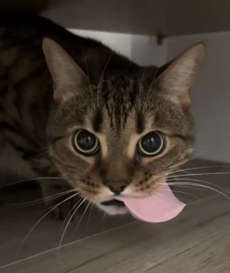 Защита докторской