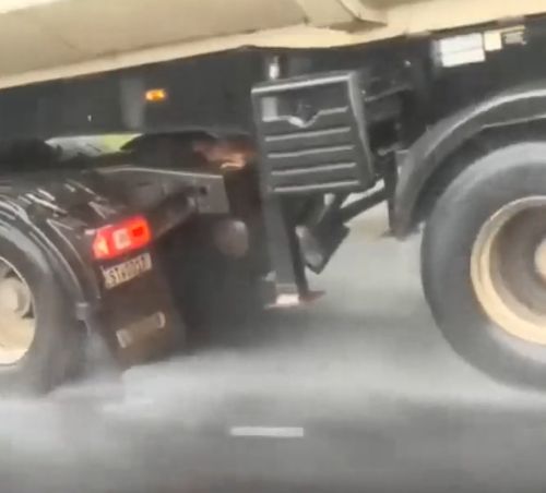 Всё-таки сбежала из курятника⁠⁠