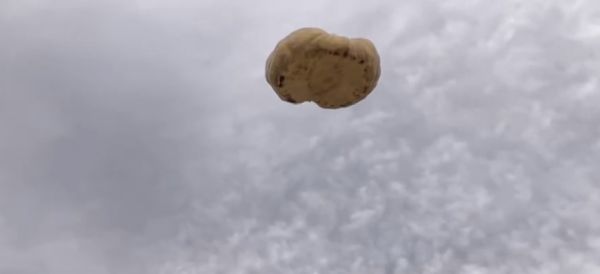 Фермер из США сбросил на свою старую машину гигантскую 870-килограммовую тыкву