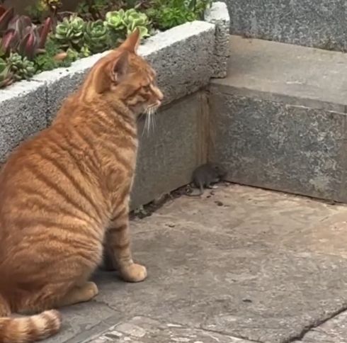 Убийство по неосторожности⁠⁠