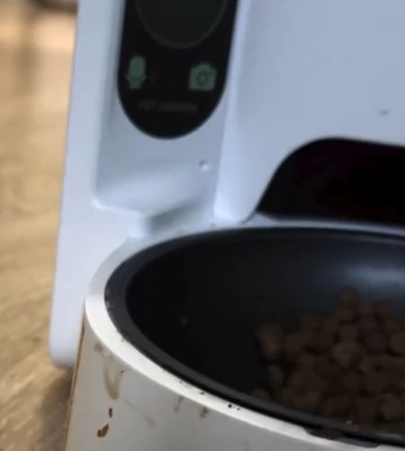 В России нашли незаблокированное приложение для онлайн-звонков