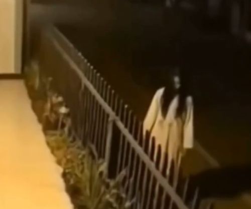 Люди которые выживают в фильмах ужасов⁠⁠