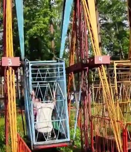 Взмывая выше ели