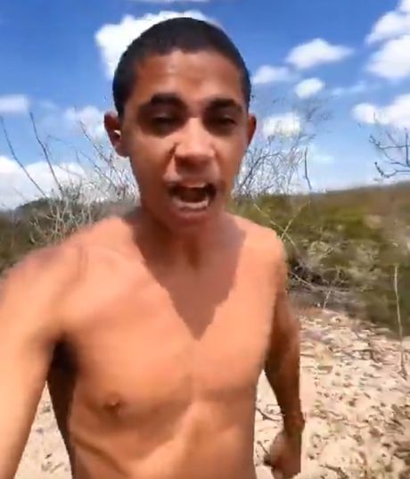 Юный ганкста решил отжать немного мёда у пчёл