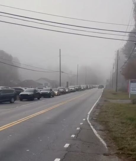 Одна из причин пробок на дорогах — низкие умственные способности некоторых водителей