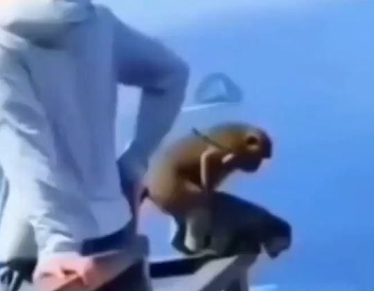 Пролюбил невесту⁠⁠