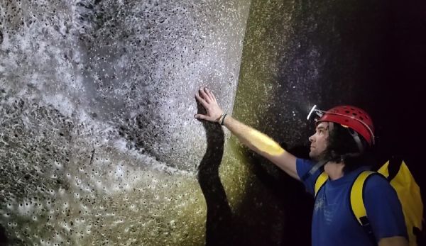Крупнейшую в мире паутину с населением более 100 000 пауков нашли в пещере на границе Албании и Греции