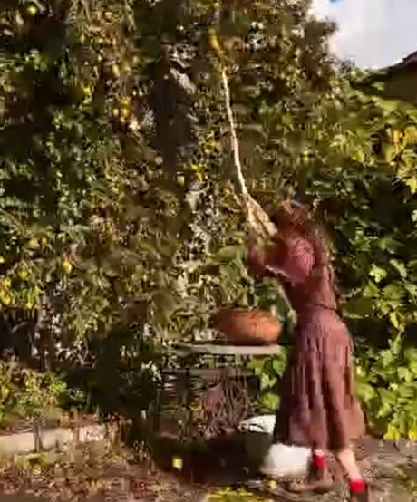 Идеальное осеннее утро