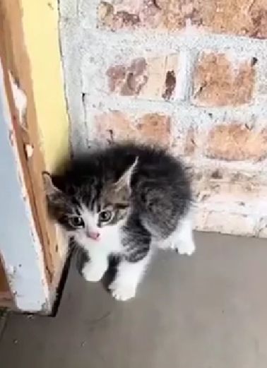 Возвращение доверия